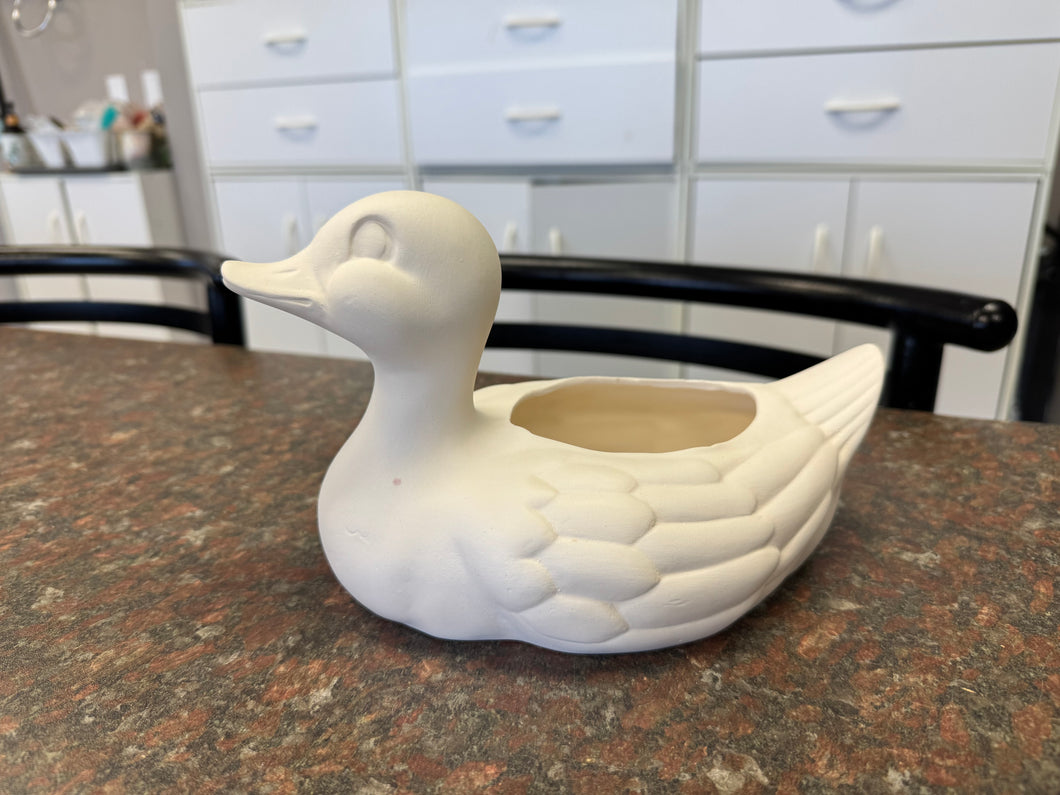 Duck Planter