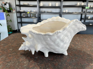 Shell Planter